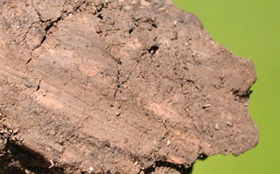 clay in soil 