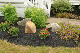 rocks and flowers installed by Busy Beaver Lawn and Garden