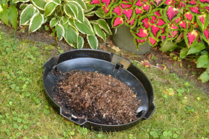 compost in lid