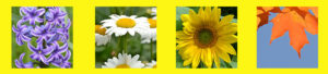 flowers indicating levels for Super Readers