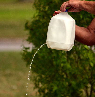 milk jug used to water plant