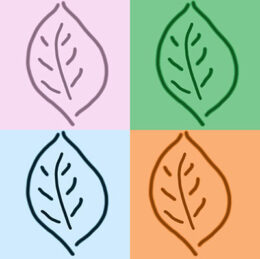 graphic of four leaves in four seasons