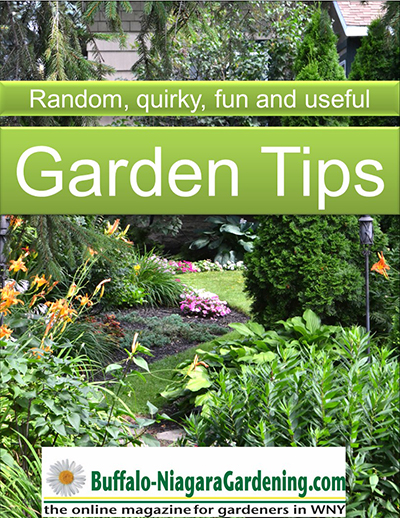 title page of ebook on Garden Tips