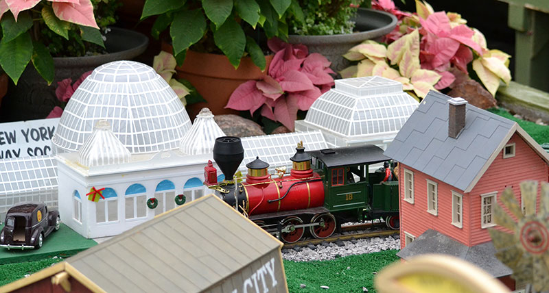 poinsettia and model train at Buffalo Botanical Gardens