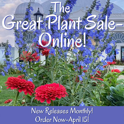 image for Great Plant Sale