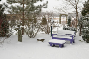 purple bench in snow