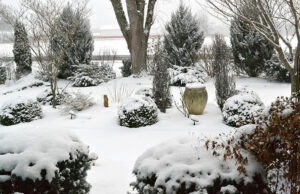 overall garden in snow by Connie Oswald Stofko