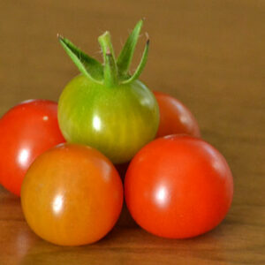 ripe and unripe cherry tomatoes in Buffalo NY by Stofko