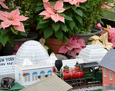 poinsettias and railway at Buffalo and Erie County Botanical Gardens