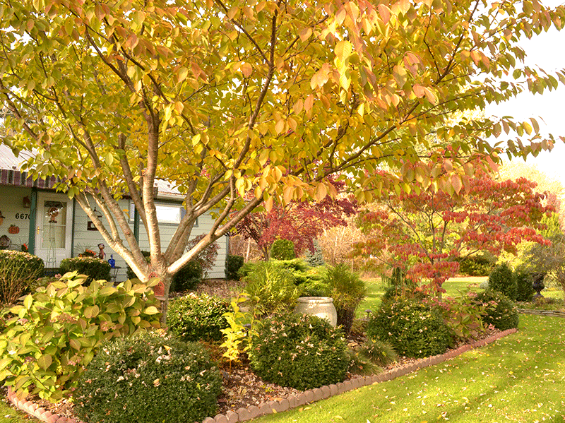center garden in autumn in Pendleton NY