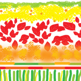 illustration for lasagna gardening by Stofko