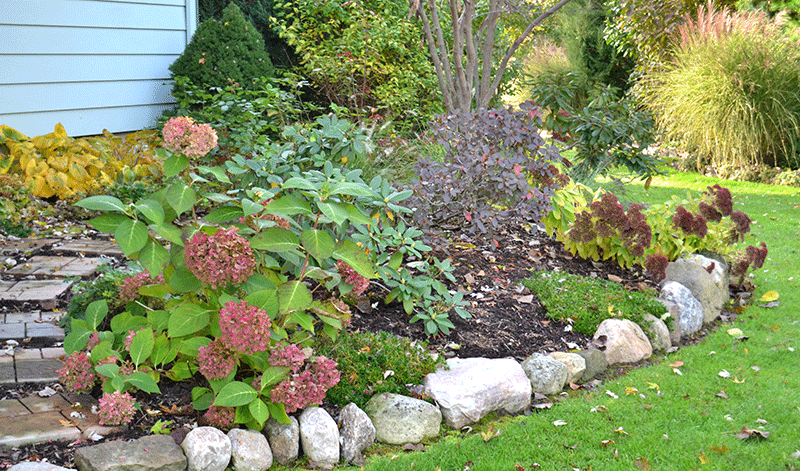 corner garden in autumn in Niagara County