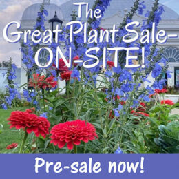 image for Great Plant Sale at Buffalo and Erie County Botanical Gardens