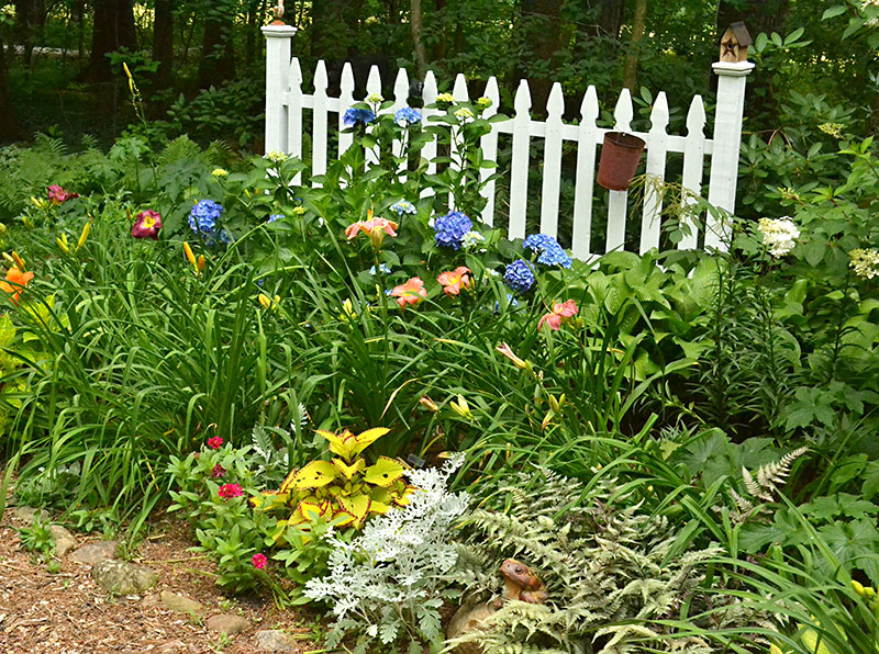 perennial garden against picket fence in Orchard Park NY