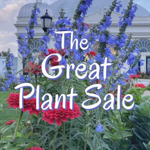 Great Plant Sale at Buffalo and Erie County Botanical Gardens