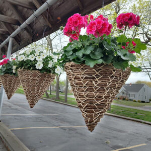 hanging cone basket at Mischler's in Williamsville NY