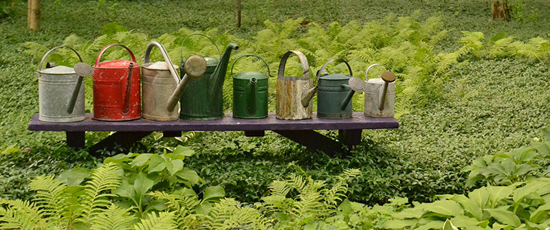 watering cans on bench in Orchard Park NY