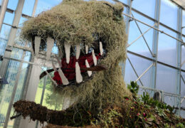 dinosaur made of plants at Buffalo and Erie County Botanical Gardens