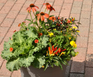 patio pot with autumn flowers at Mischler's in Williamsville New York