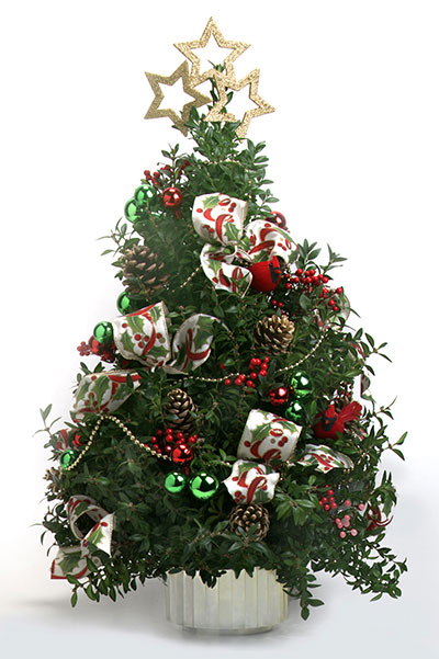 miniature Christmas tree at Mischler's in Williamsville