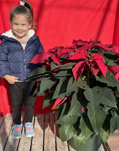 child next to large poinsettia at Mischler's in Williamsville NY