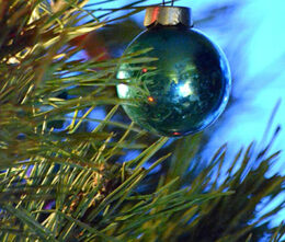 branch of Christmas tree with ornament