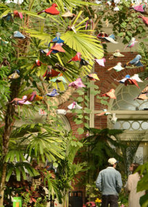 Flock of All Colors at Buffalo and Erie County Botanical Gardens