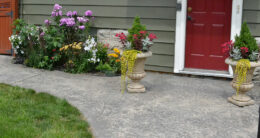 pots with flowering plants beside door in Buffalo NY