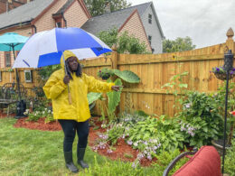 East Side Garden Walk in Buffalo New York