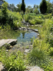 creek at Castle Creek garden in Williamsville NY