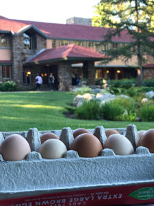 eggs in foreground with Graycliff building in back for Market at Graycliff