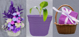 flower arrangement, plant in pot and gift in basket