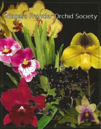 poster for orchid show by Niagara Frontier Orchid Society