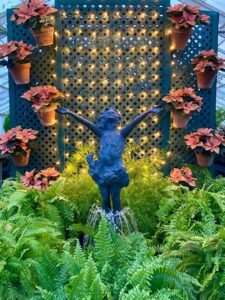 poinsettia show at Buffalo and Erie County Botanical Gardens
