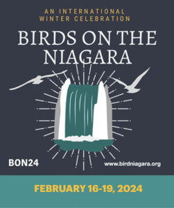 logo for Birds on the Niagara 2024