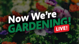 logo for WNED show Now We're Gardening Live in Buffalo NY