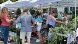 vendors at Lewiston GardenFest in Lewiston NY