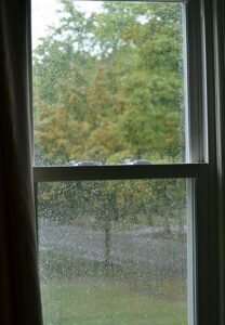 autumn trees through window in rain in Amherst NY