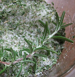 salt with rosemary herb
