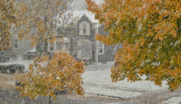 Snow November 9 2025 on Stevenson Blvd., Eggertsville NY