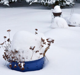 garden post in snow in Amherst NY