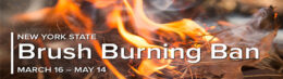 burn ban in New York State