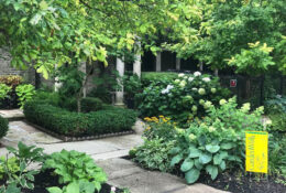 formal garden Garden-Walk Buffalo