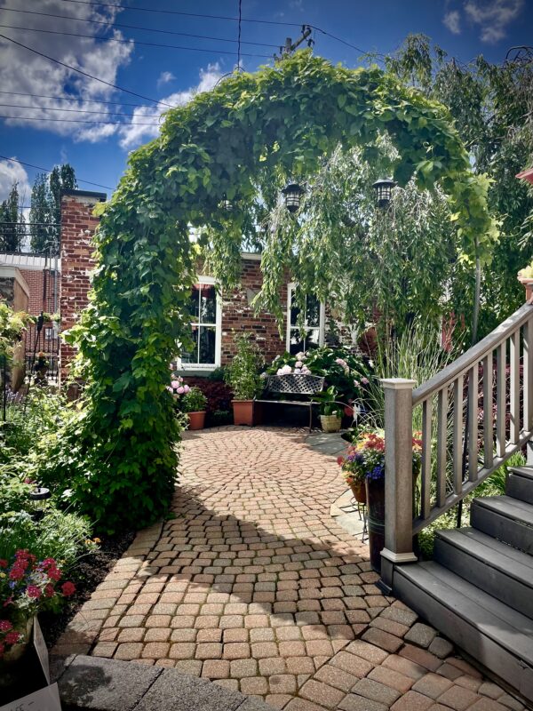 The Fink garden on Park Street. Photo by Jim Charlier.